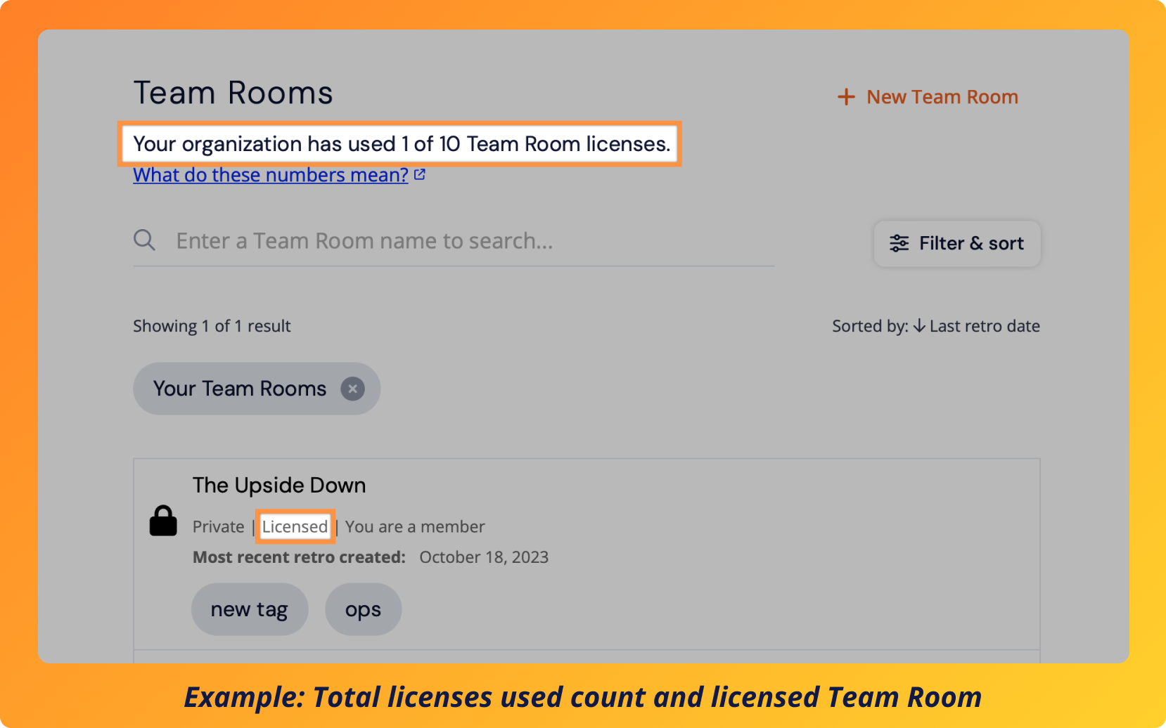 team_room_license_usage_example 1.png